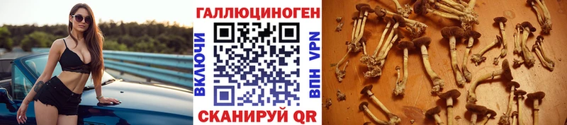 Купить  Балашов  Псилоцибиновые грибы ЛСД 