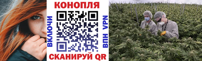 Бошки Шишки SATIVA & INDICA  Купить  Балашов 